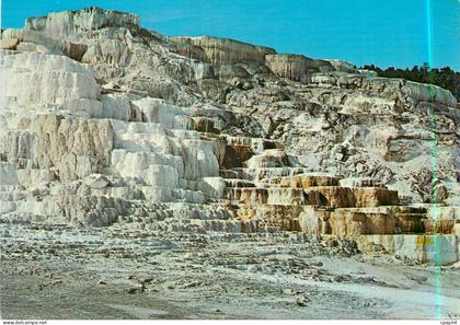 CPM Minerva Terrace Yellowstone National Park