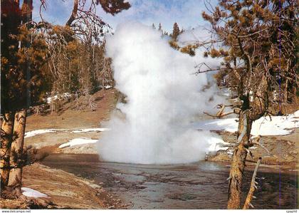 CPM Riverside Geyser Yellowstone National Park