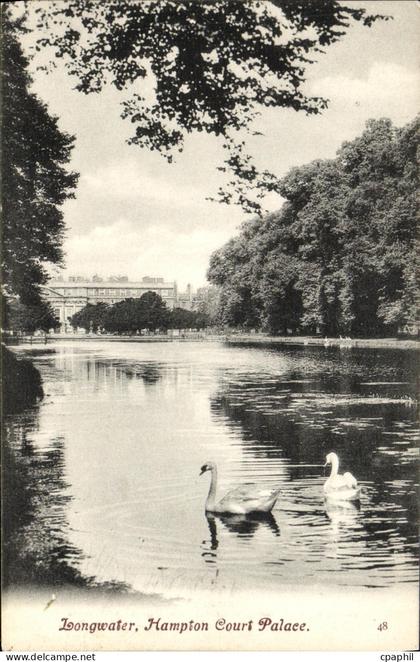 CPA Longwater Hampton Court Palace Cygnes