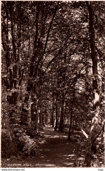 Orpington - Beechy Walk