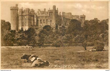 CPA Arundel Castle