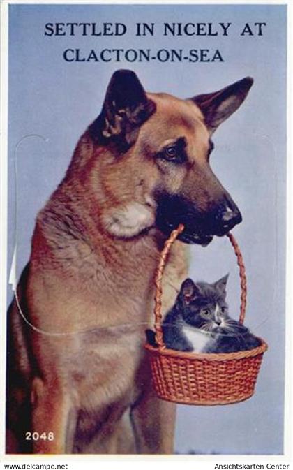 55119935 - Clacton-on-Sea