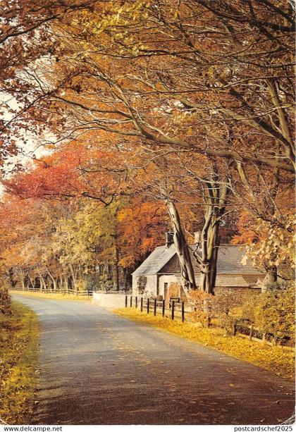 uk45812 keepers cottage beasdale lancashire uk