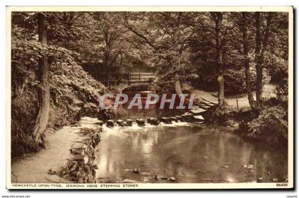 CPA Newcastle upon Tyne Jesmond Dene stepping stones