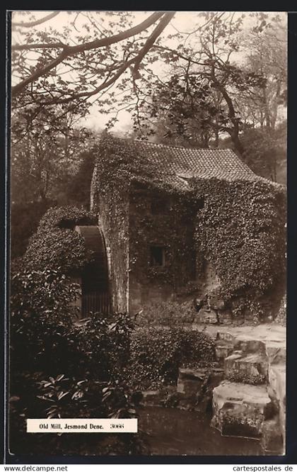Pc Newcastle upon Tyne, Old Mill, Jesmond Dene