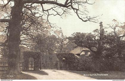 uk3805 buck gates thoresby nottinghamshire real photo uk