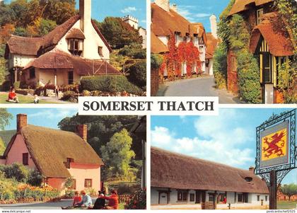 BR82106 somerset thatch uk