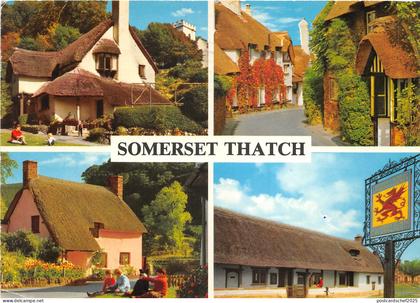 uk46063 somerset thatch uk