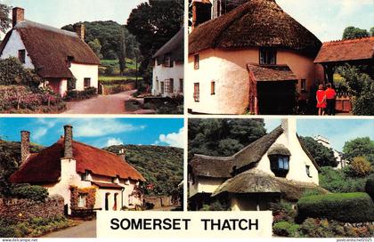 uk4869 somerset thatch uk