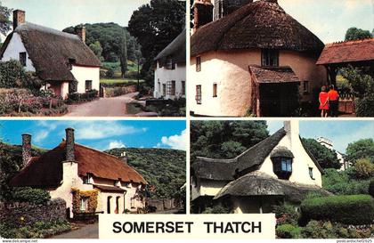 uk6952 somerset thatch uk