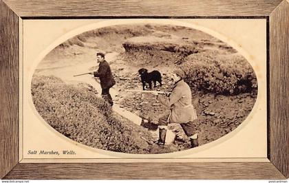 England - WELLS - Hunting - Salt Marshes