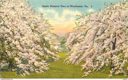 CPA Apple Blossom Time in Winchester
