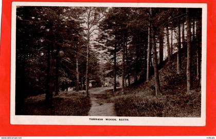 SCOTLAND BANFFSHIRE   KEITH   TARNASH WOODS  RP pu 1914