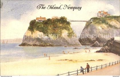 Newquay Island