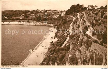 Paignton Cliffs