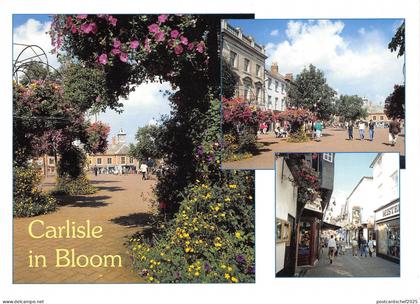 BR90492 carlisle in bloom fisher street carlisle cumbria  uk