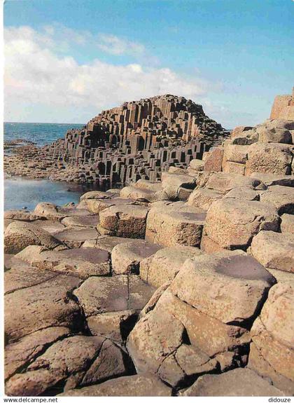 Irlande du Nord - Antrim - Giant's Causeway - Curiosité Géologique - Northern Ireland - Irlanda del Norte - CPM - Voir S