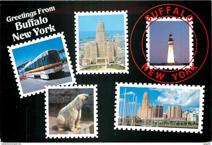 CPM Greetings from Buffalo New York Ours Blanc