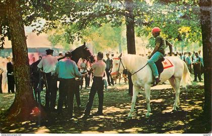 CPA Saratoga Cheval Hippisme