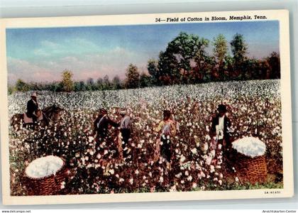 10358976 - Memphis TN