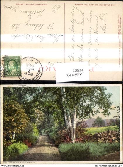 192070,New Hampshire White Mountains Birches Birken Partie