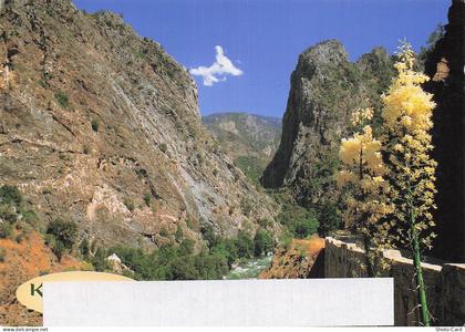 ETATS UNIS KINGS CANYON KINGS CANYON NATIONAL PARK