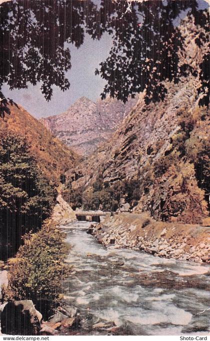 ETATS UNIS KINGS CANYON KINGS RIVER