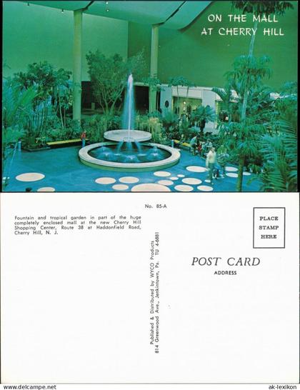 Postcard Cherry Hill Fountain and tropical garden, Cherry Hill N.J. 1975