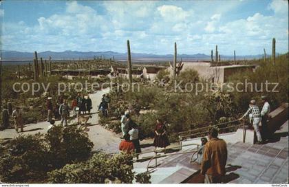 Tucson Arizona Sonora Desert Museum