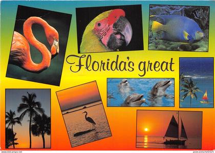 US12 USA FL Florida fauna multi view flamingo parrot 1999