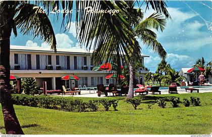 US20 US FL Flamingo the lodge 1974 florida