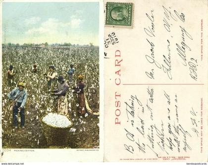 Black Americana, "Picking Cotton" (1910) Detroit Publishing Co. 7034 Postcard