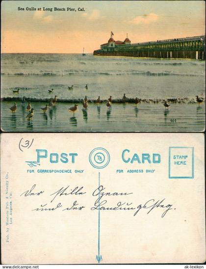 Postcard Long Beach Sea Gulls at Long Beach Pier 1913  California