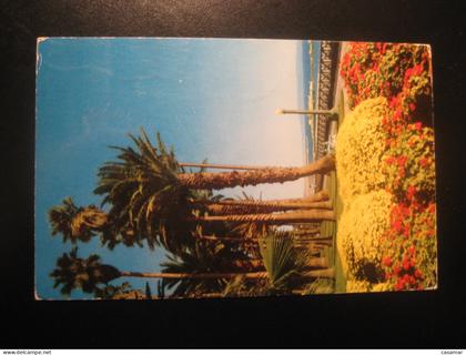 SANTA MONICA California Palisades Park cancel NORWALK 1956 to Seattle postcard USA