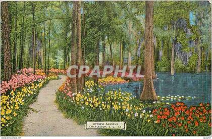 CPA Cypress Gardens Charleston SC