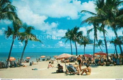 Fort Lauderdale Coconut Palms