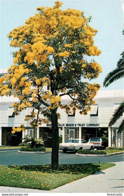 Palm Beach Bank of Palm Beach Trust Company