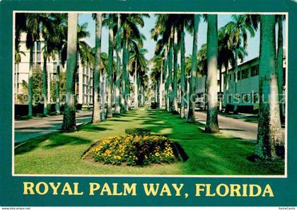 Palm Beach Royal Palm Way