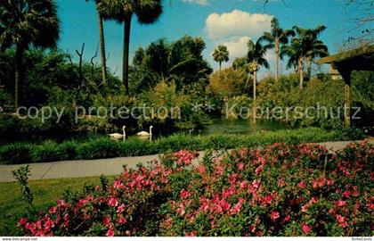 Tampa Florida Busch-Gardens