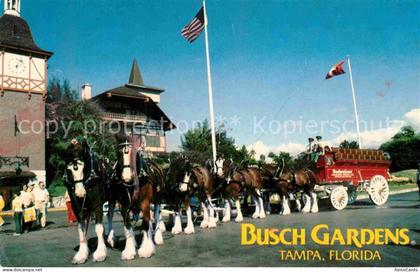 Tampa Florida Busch Gardens
