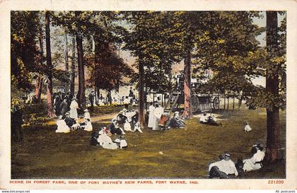 B313 US Scene in Forest Park Fort Wayne Indiana vintage postcard
