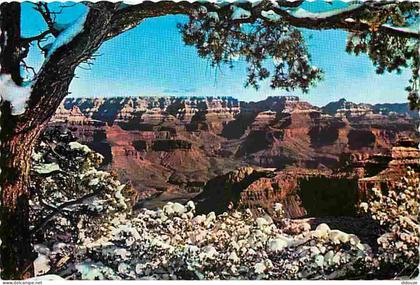 Carte Postale - Etats Unis - Grand Canyon - Grand Canyon National Park - CPM - Voir Scans Recto-Verso - Poscard - Carta