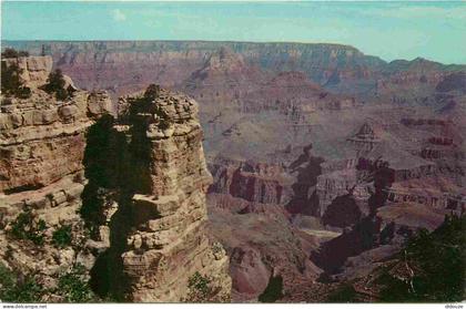Carte Postale - Etats-Unis - Grand canyon national park - Grand canyon national park - from moran point - in early morni