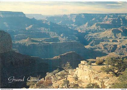 Carte Postale - Etats Unis - Grand Canyon - South Rim of the Grand Canyon - Etat de l'Arizona - Arizona State - CPM - Ca