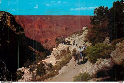 CPM Grand Canyon National Park Arizona