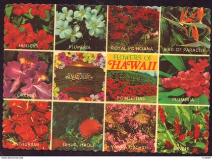 AK 002584 USA - Hawaii - Flowers of Hawaii