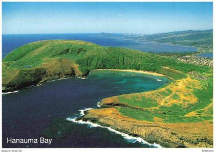 Oahu Hanauma Bay Fliegeraufnahme