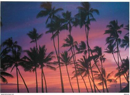 Etats Unis - Hawaï - Honolulu - Waikiki - dreamy hawaiian sunset - The dreamy tropical sky foretells the coming of a rom