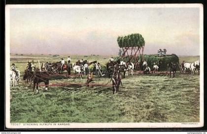 AK Kansas, KS, Stacking Alfalfa, Luzerne-Ernte