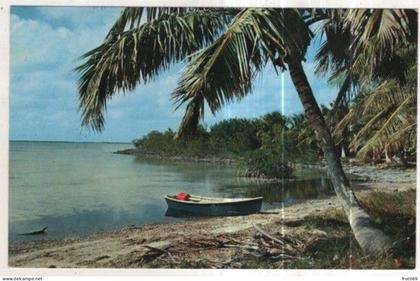 AK 258141 USA - Florida Keys